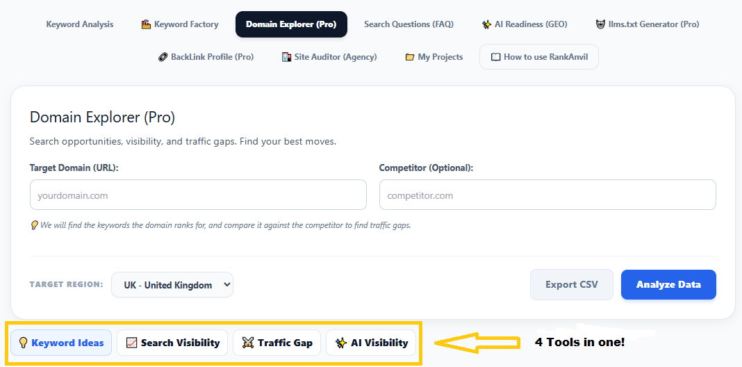 Domain Explorer Core Layout Navigation Subtabs